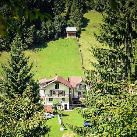 Pensiunea Puiu Moeciu De Sus Bagian luar foto