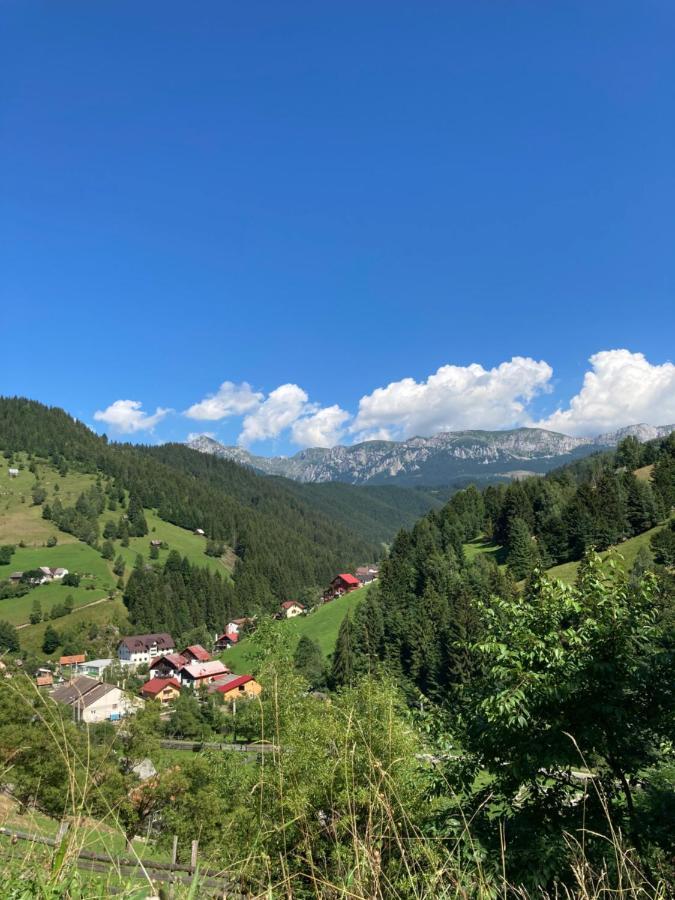 Pensiunea Puiu Moeciu De Sus Bagian luar foto