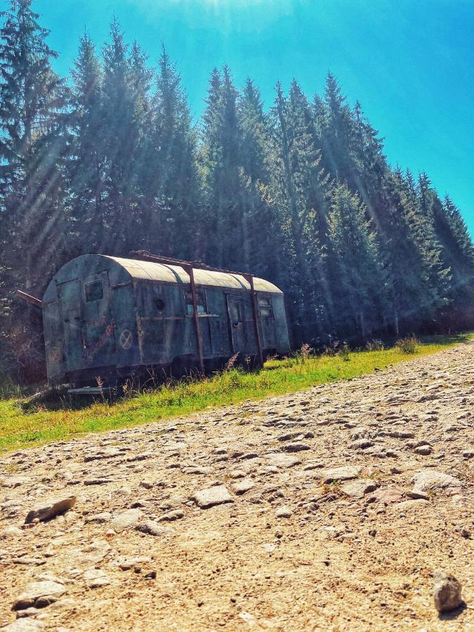 Pensiunea Puiu Moeciu De Sus Bagian luar foto