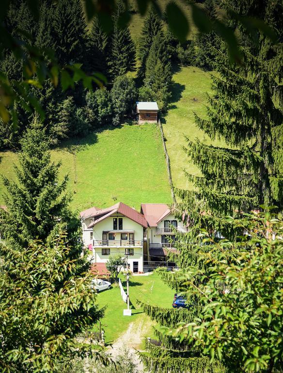 Pensiunea Puiu Moeciu De Sus Bagian luar foto